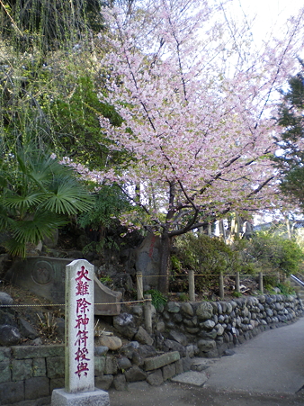 IMGP3973