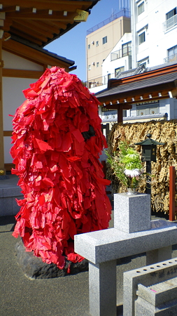 IMGP5519