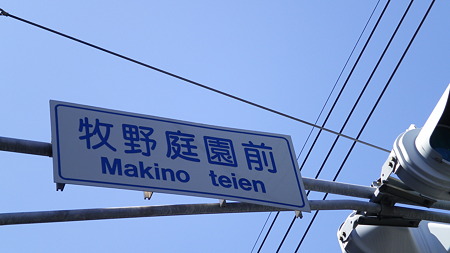 IMGP5575