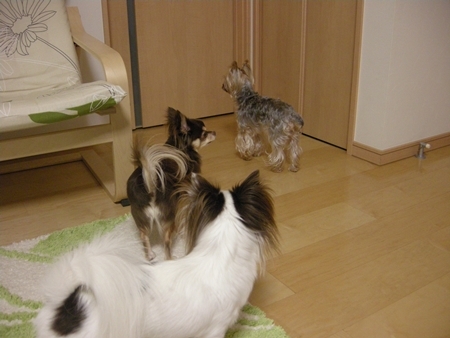 DSCN0971