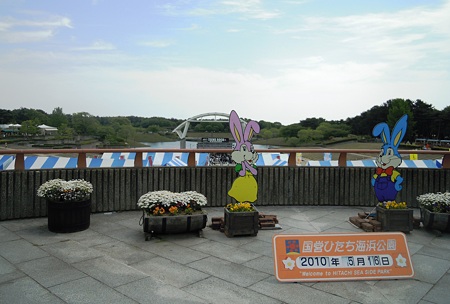 DSCN2787