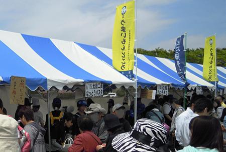 DSCN2840