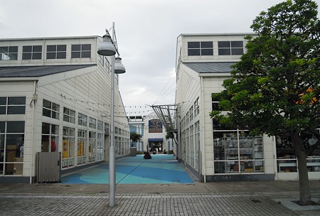 DSCN3294