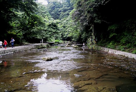 DSCN3867