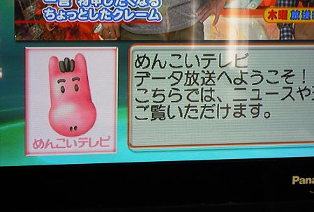 DSCN4616