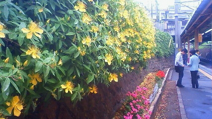 201006090852000
