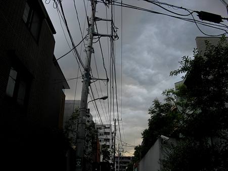 IMG_2125