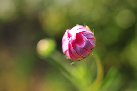 DSC_0549.JPG