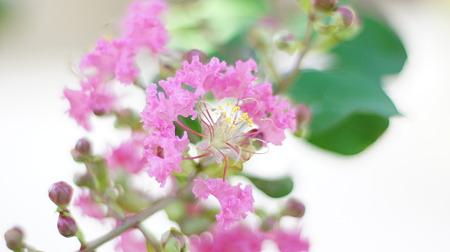 DSC00540
