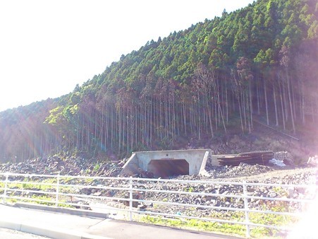 志津川