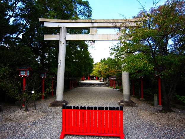 市原稲荷神社