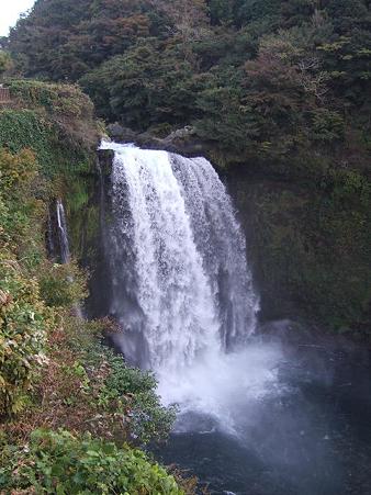音なし