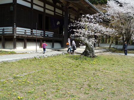 根来寺2011 006
