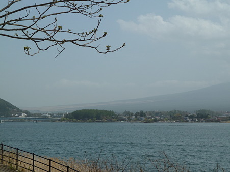 2011甲信 044