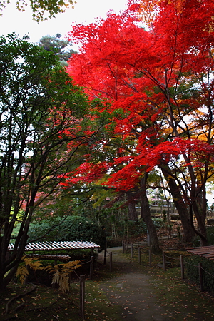 もみじ公園（宝幢寺跡）.