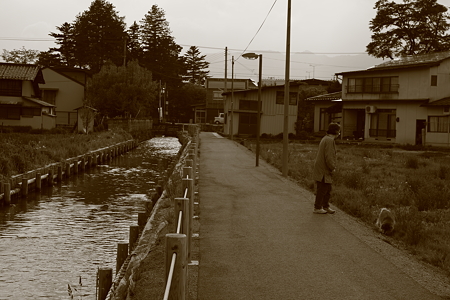 水と緑と花の長井市　街並み