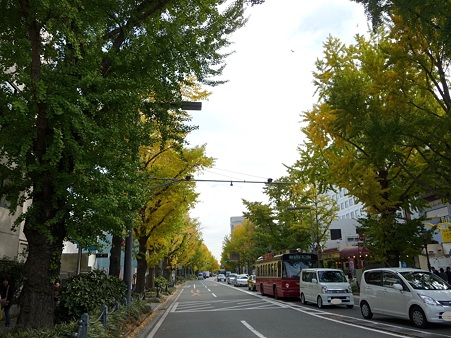 101119-紅葉 山下公園通り (3)