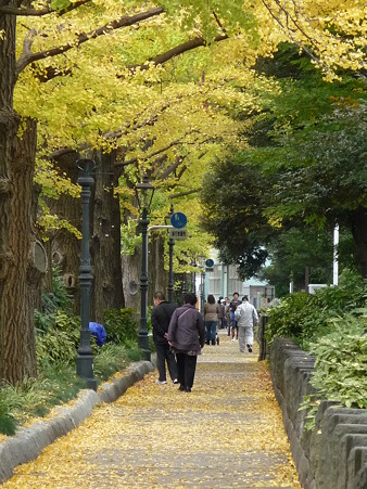 101119-紅葉 山下公園通り (32)