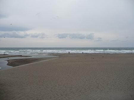 110115-鎌倉海岸 (6)