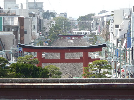 110225-鶴岡八幡宮 (51)