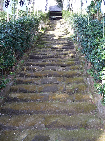 110225-杉本観音寺 (18)