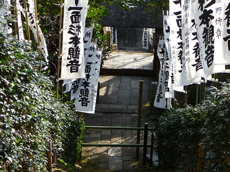 110225-杉本観音寺 (21)