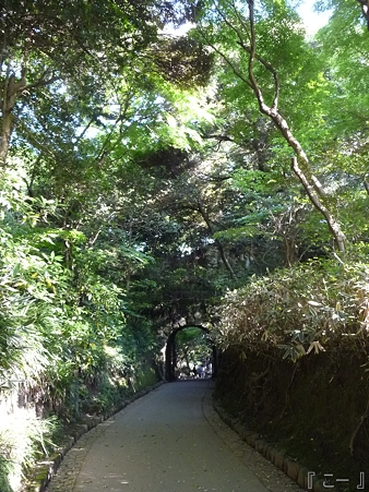 110519-鎌倉文学館 (11)