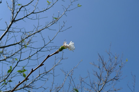 P1010911