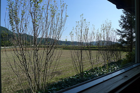 P1010990