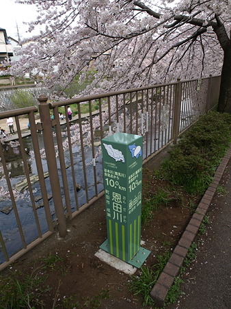 恩田川17