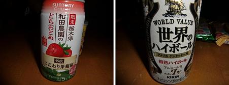 2010.10.23 晩酌酒2合成