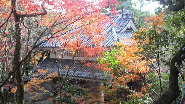 静岡県油山寺の山門の紅葉 写真共有サイト フォト蔵