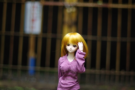 IMGP0539
