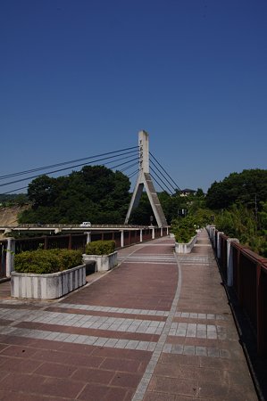 IMGP1233