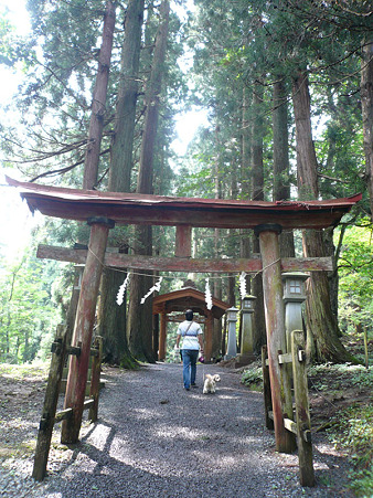 岩手 不動の滝 4