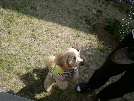 110429 くーかい