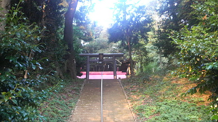 P1000811