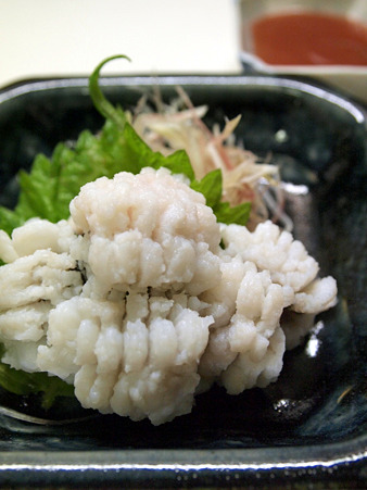 p8295725_edited p8295725_edited