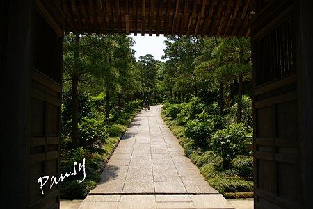 鎌倉建長寺にて・・2