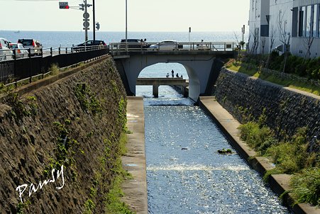海へつづくアーチ・・