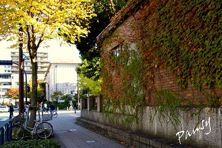 晩秋の光のなかで・・5