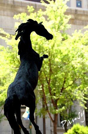 横浜・・5月の街かど・・1