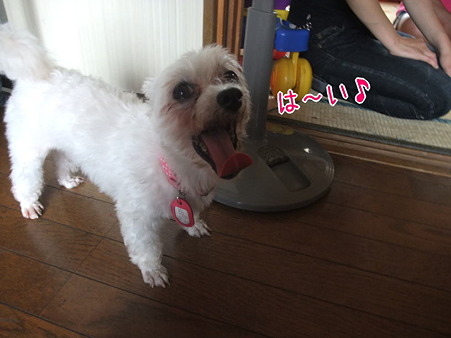 いい返事!^^