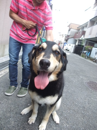 AZ君