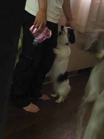 ボクを見捨てるんか?!