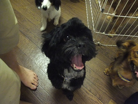 ・・・っていうか、それ笑顔か?!