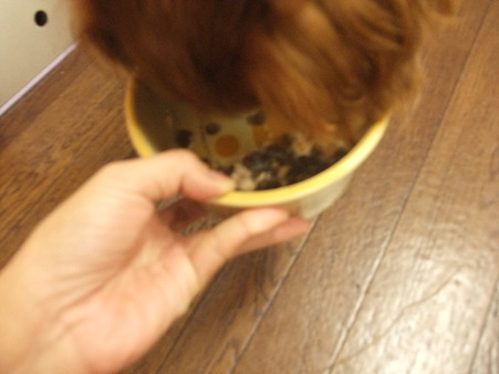 特別待遇の悠大