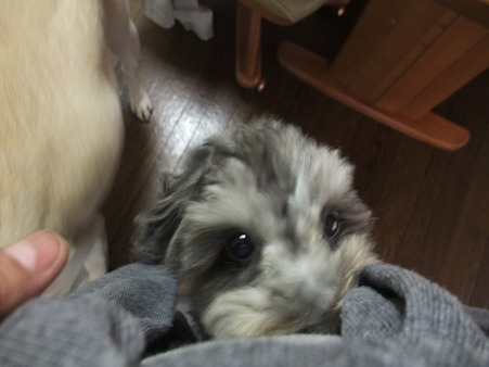 クンクンクンクン・・・