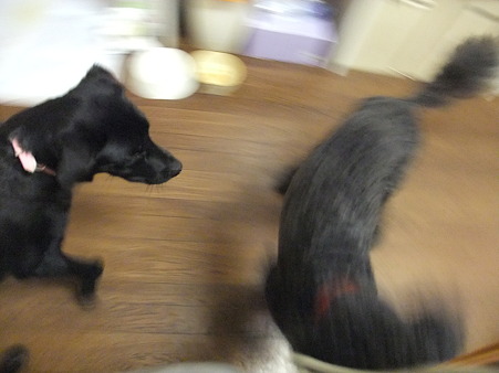 動きまくって・・