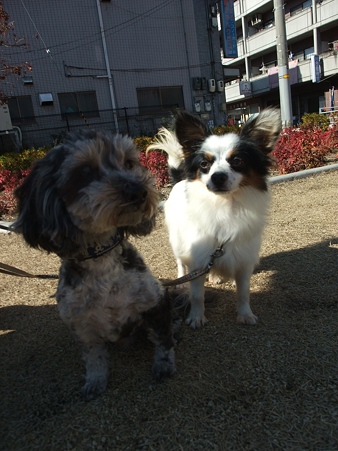 ライバル?!